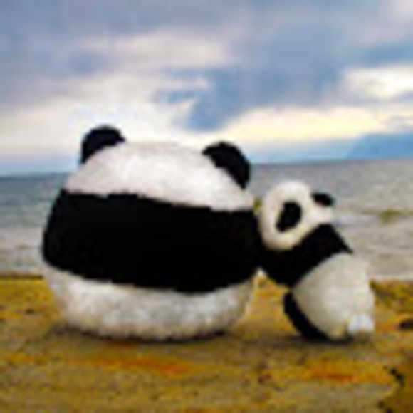 andrea_soong